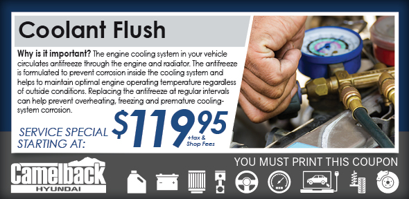 CamelbackHyundai_Coolant_Print.jpg